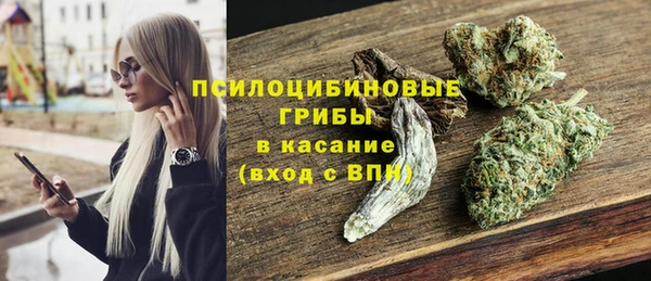прущий лед Алзамай
