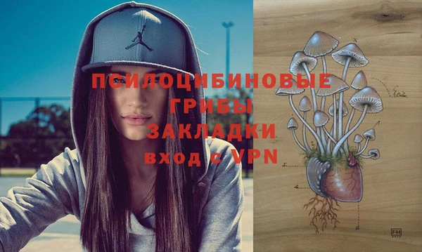 таблы Алексин