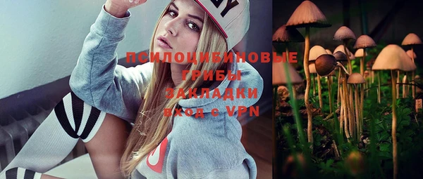 прущий лед Алзамай