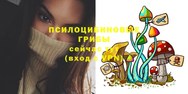 таблы Алексин